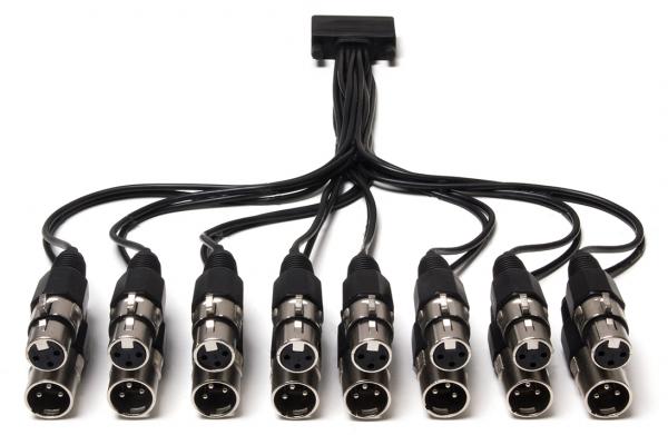 XLR Cable